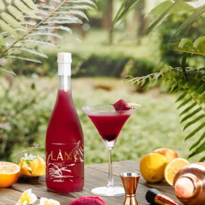 Rượu Làng - Premium Vietnamese rice wine